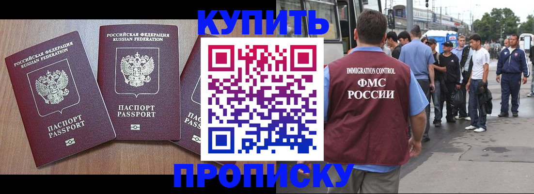 прописка 2025 в Судогде